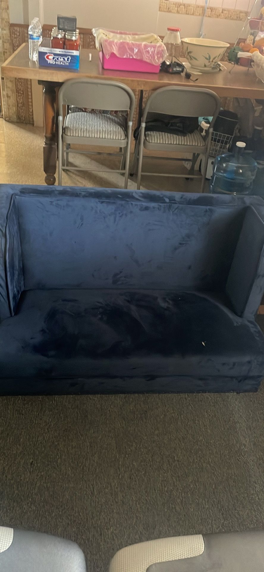 Two Couches