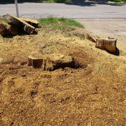 Stump Grinding 