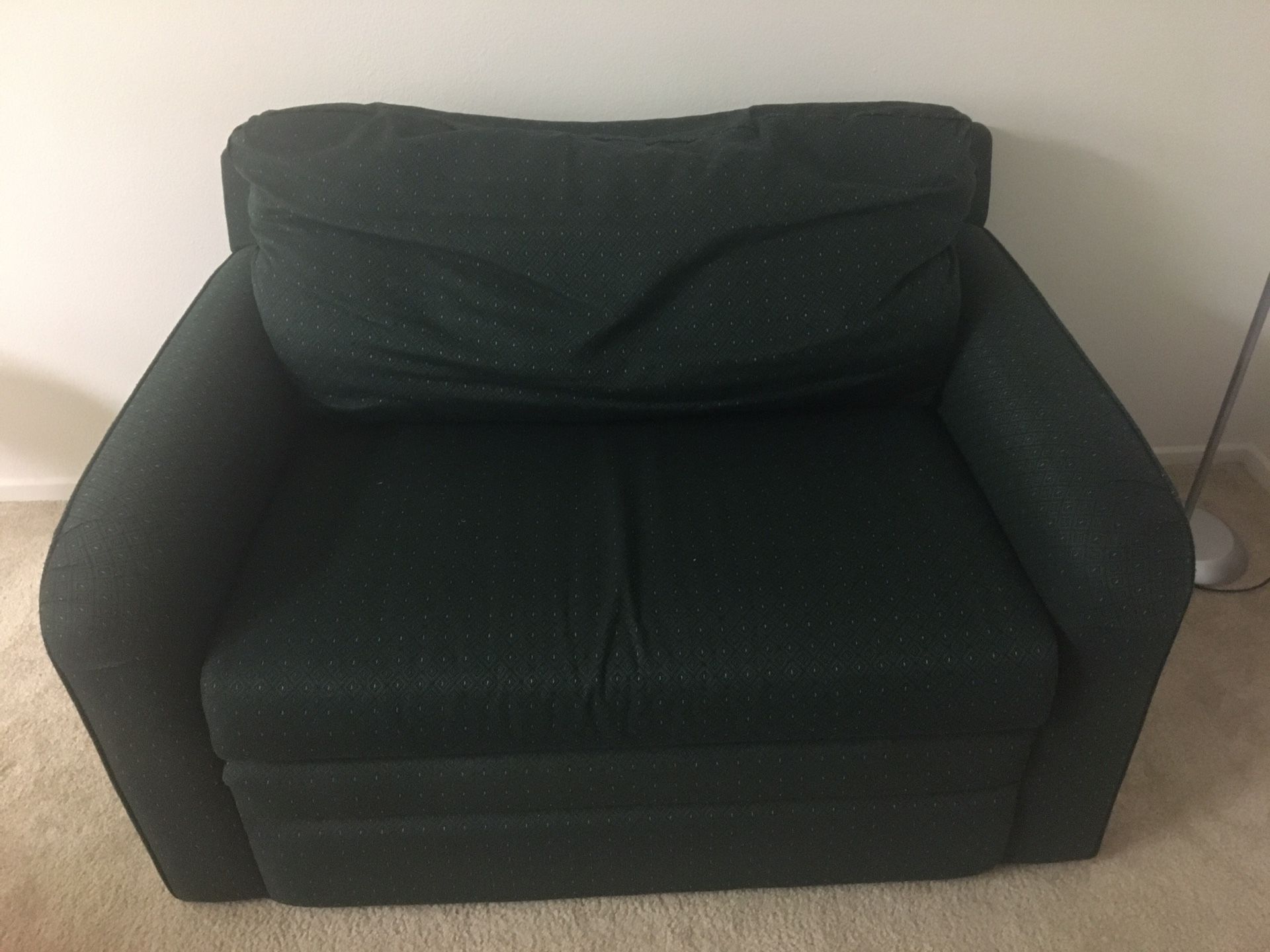 Loveseat With Pull Out Bed