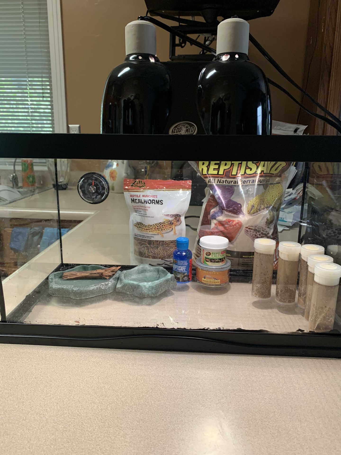 10 gallon leopard Gecko tank