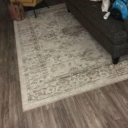 MUST GO BY WEDNESDAY - Beige Area Rug