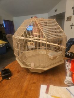 Bird cage