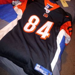 Jersey 