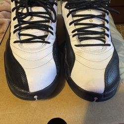 Air Jordan 12