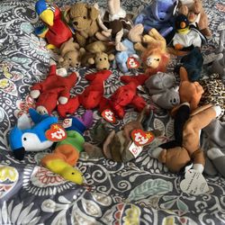 Teenie Beanie Babies And Beanie Babies