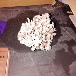 Real Coral For Fish Tank