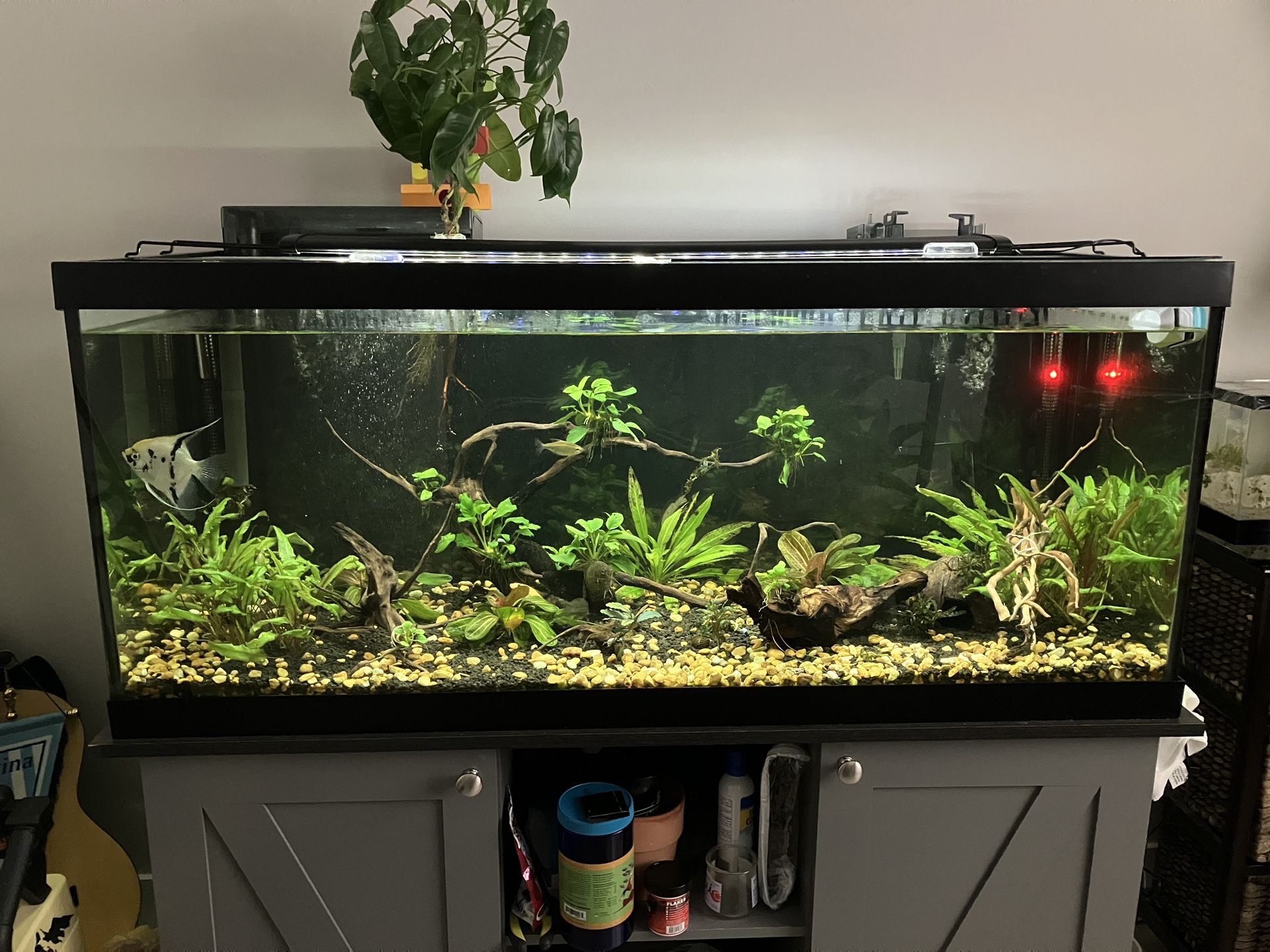 75 Gallon Aquarium/ Fish tank