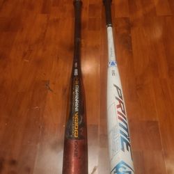 Baseball Bat