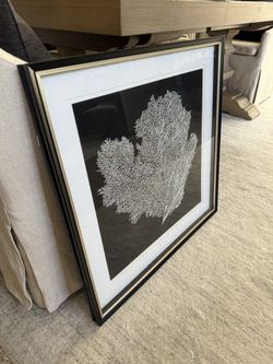Coral Black & White Framed Art 27”x27” Like New