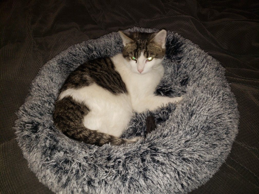 Soft Plush Cat Or Dog Bed