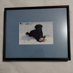 BLACK RETRIEVER PUPPY - FRAMED / MATTED PRINT 9"×8" - P1000