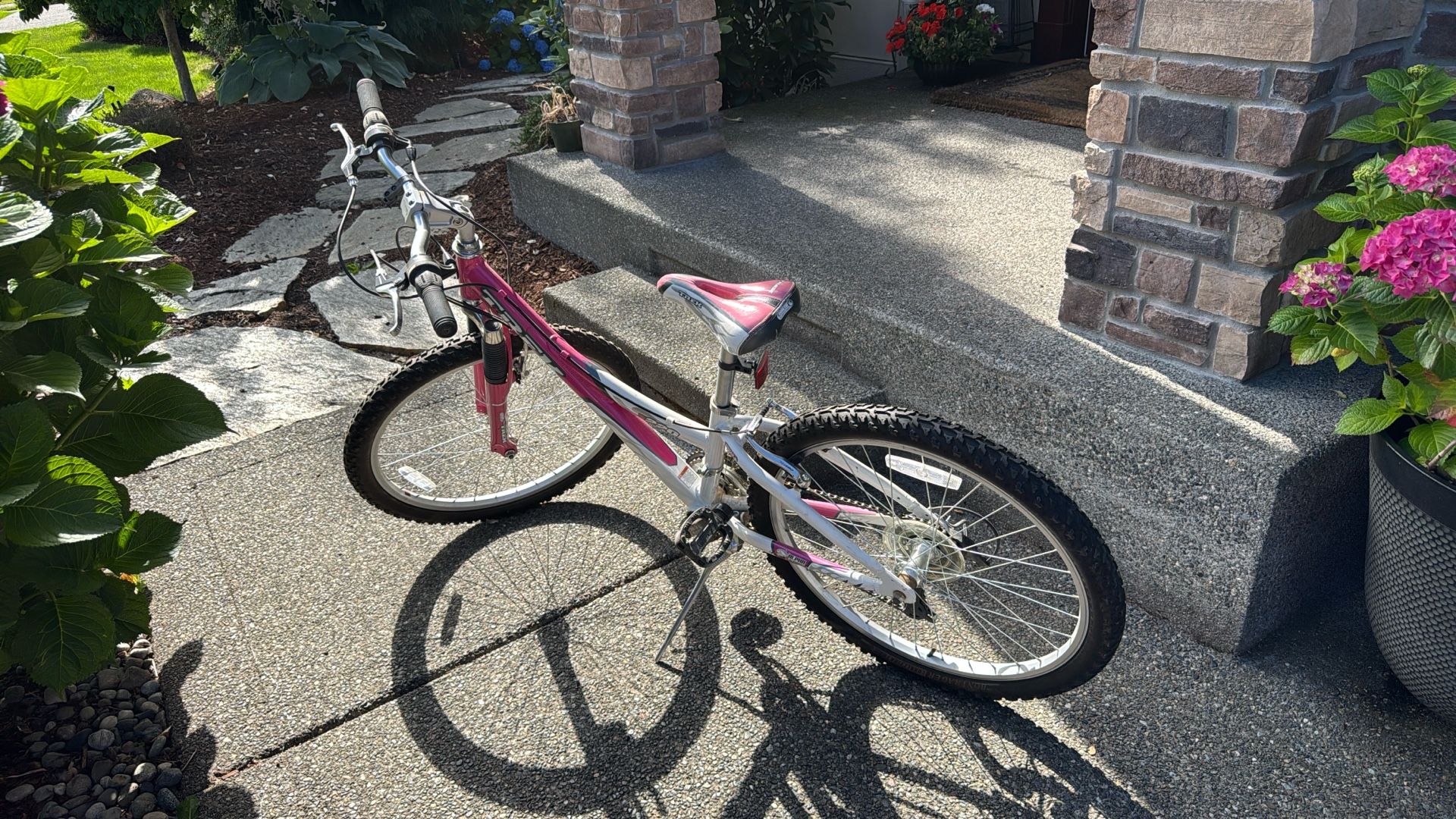 Trek 220 Mountain Bike