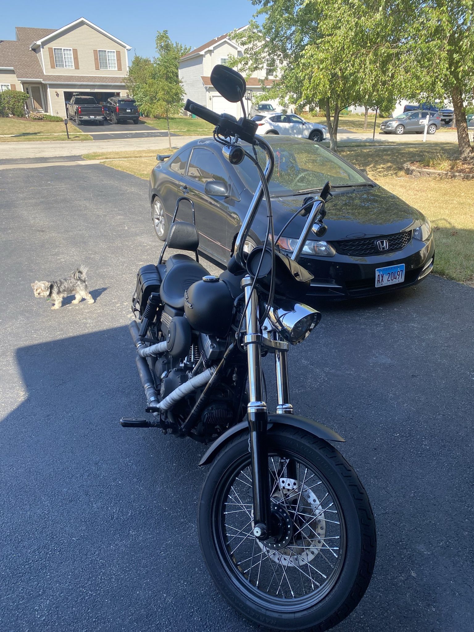 2006 Harley Davidson FXDBI STREET BOB