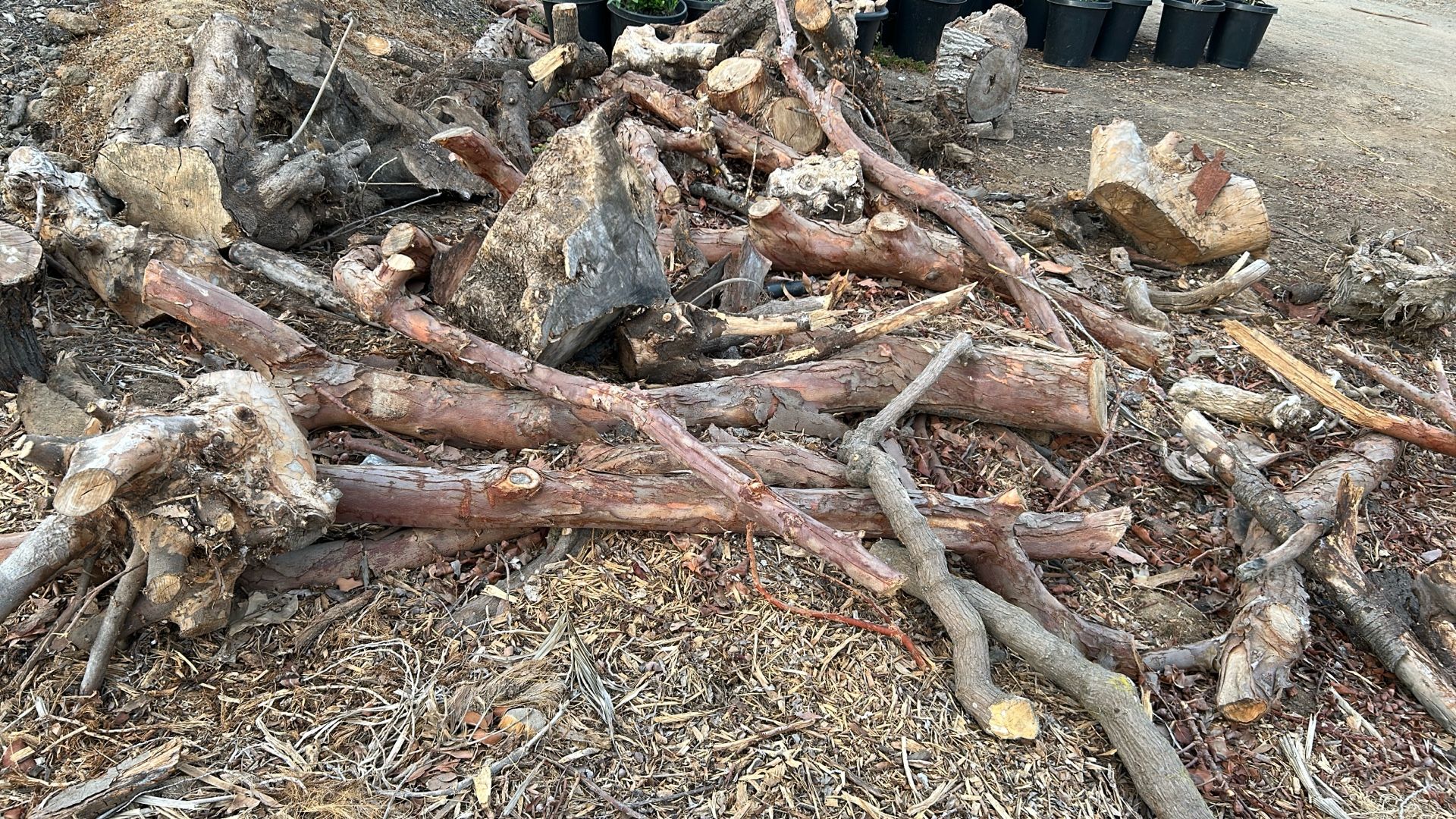 Firewood, big logs
