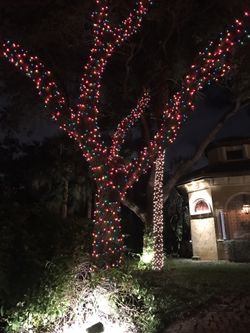 Christmas lights