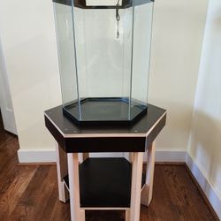 20 Gallon Fish Tank