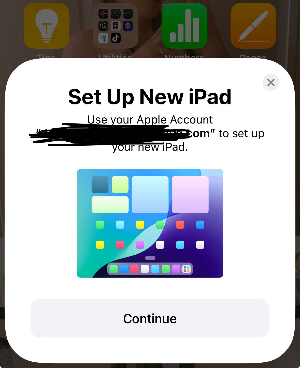 iPad Mini