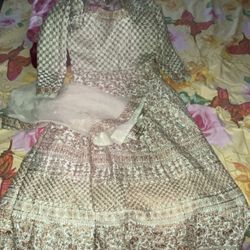 Party Wear Punjabi Suit / Anarkali