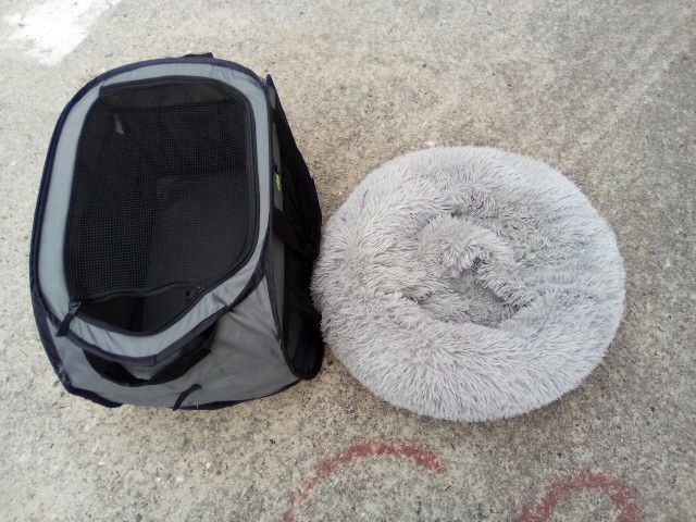 Pet Carrier +Pillow 20.00