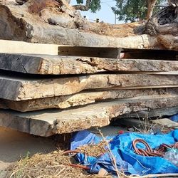 Black walnut slabs 3"