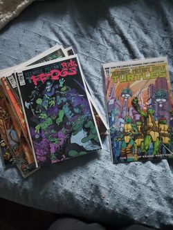 Teenage Mutant Ninja Turtles lot of 12 books