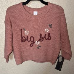 Pink Sweater