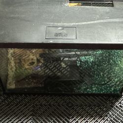 10 Gallons Aquarium