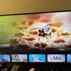 Samsung 43 Inch Smart TV