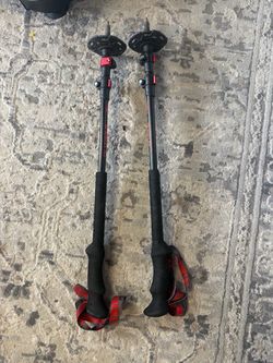 McKinley trekking poles