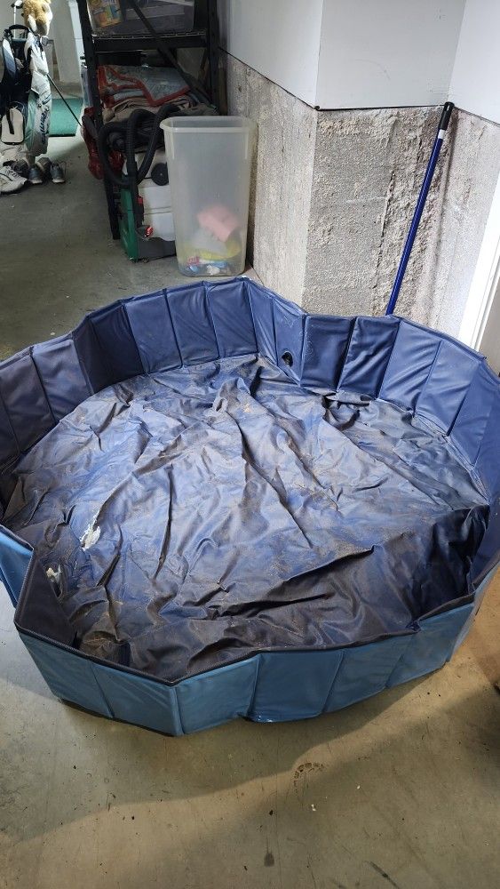 Collapsible dog pool