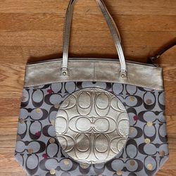 Large Coach Purse
