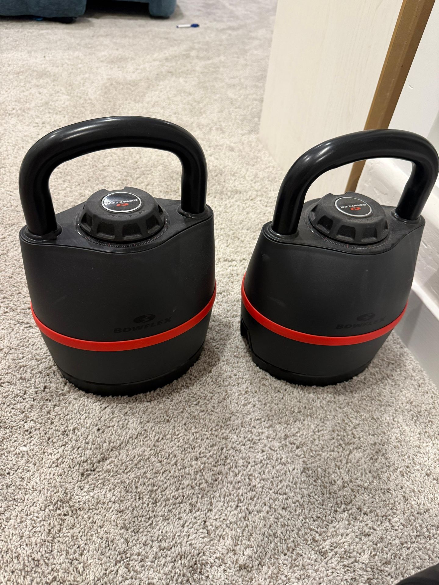 Bowflex Adjustable Kettlebells