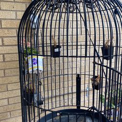 Bird cage Thumbnail