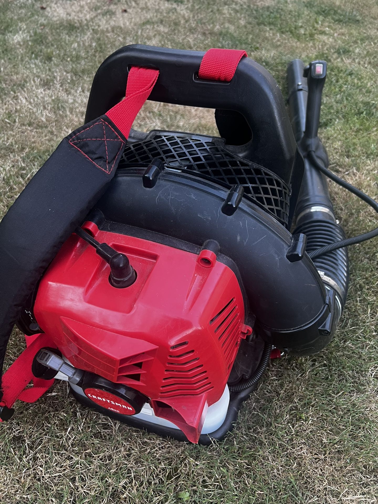 Craftsman 2-Cycle Backpack Leaf Blower 