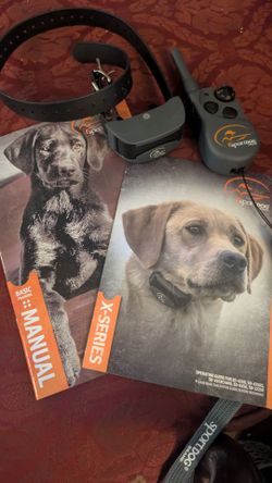Sport dog grand