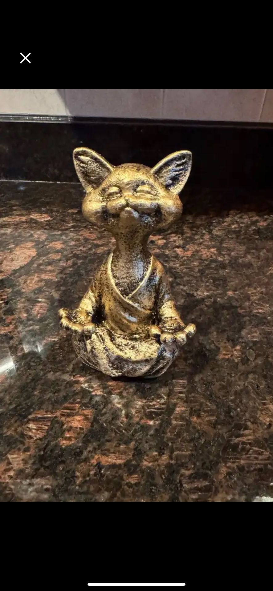 The Meditation Cat