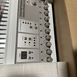 Physiotherapy Electronic Simulation Instrument 