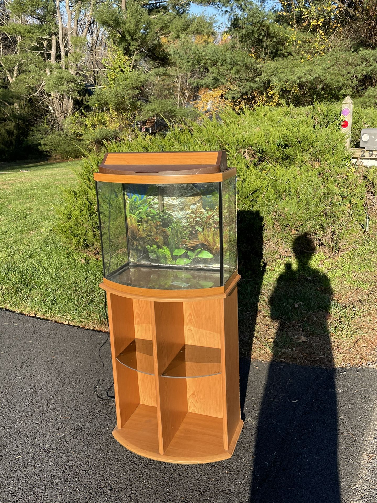 Fish Tank and cabinet