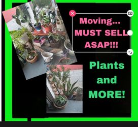 Must Sell ASAP! 

Garden & Patio Items & Decor and much more!