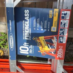 Werner 10ft Ladder