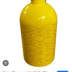 Discontinued Disney Disneyland Mickey yellow pineapple canteen metal