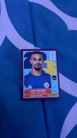 Purple panini sticker