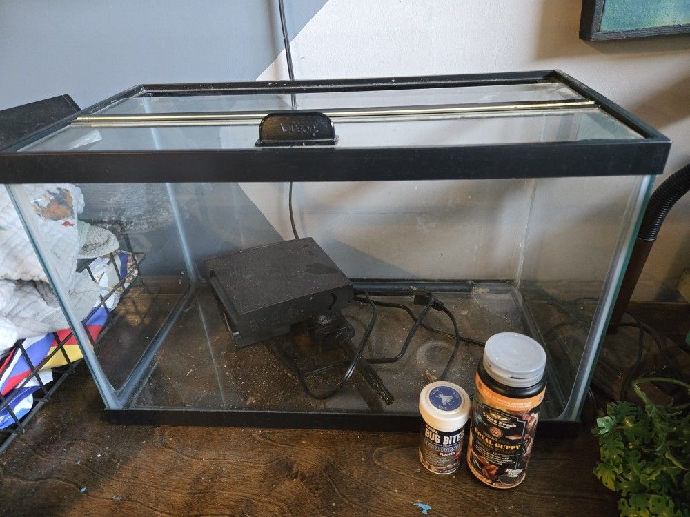 10 Gallon tank