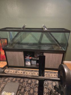 125 gallon aquarium
