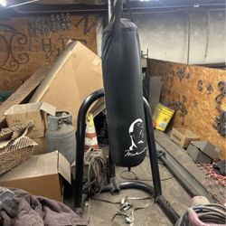 Muhammed Ali everlast punching bag with gloves