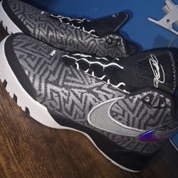 Nike Zoom Lebron NXXT Genisus Metallic Black