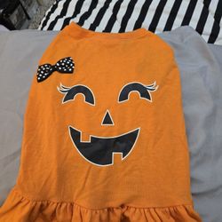 Dog Pumpkin Dress Halloween Costume. 