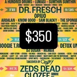Same Same but different Festival 3 Day (ssbd)