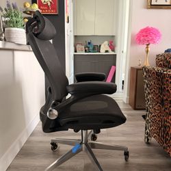 Reclining Office Chair