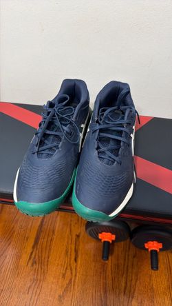 ASICS Pickleball shoes